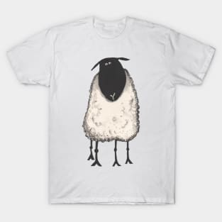 Sheep, Baaarney, Baa! T-Shirt